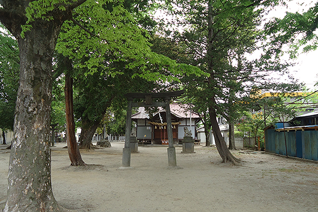 sugawara1
