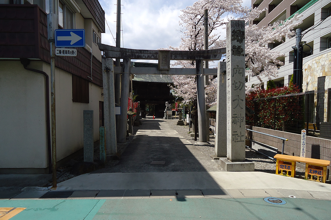 sugawara1