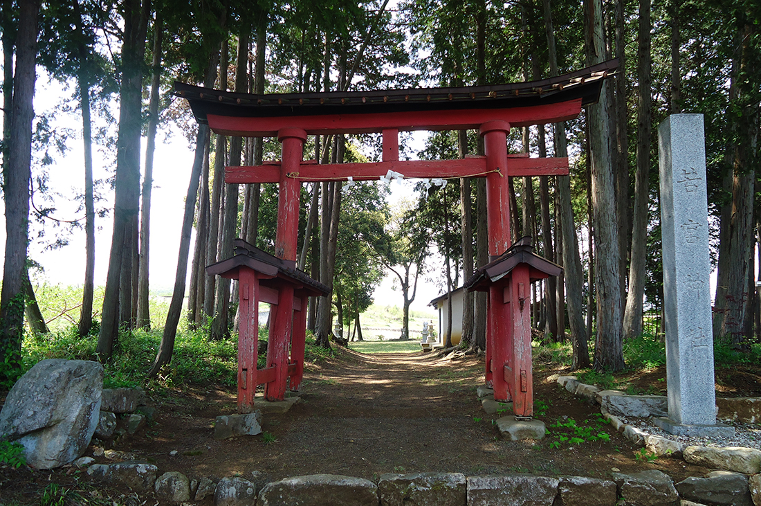 sugawara1