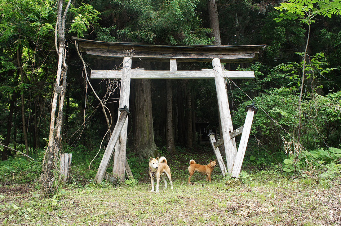 sugawara1