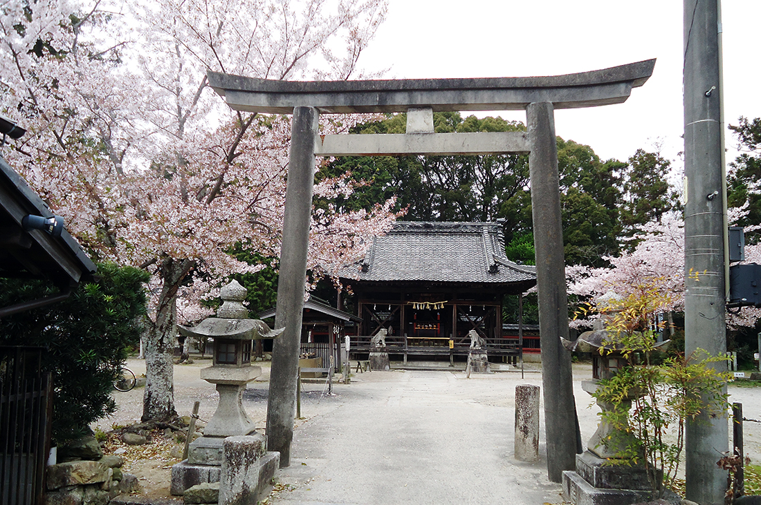 sugawara1