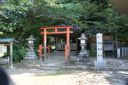 hatima
