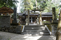 yaba