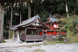 roku