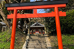okitu