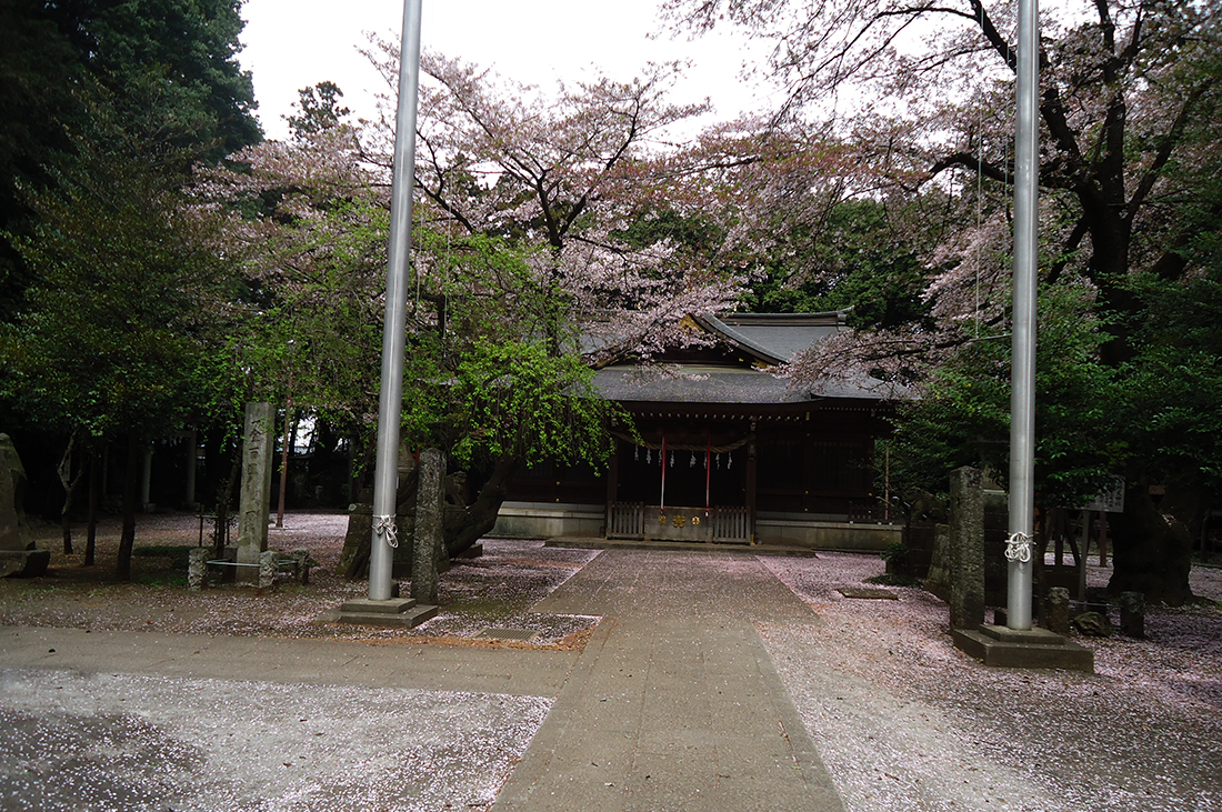 sugawara1
